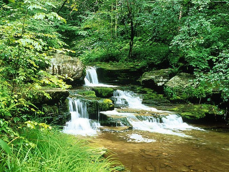 Early Summer Waterfall, Pennsylvania